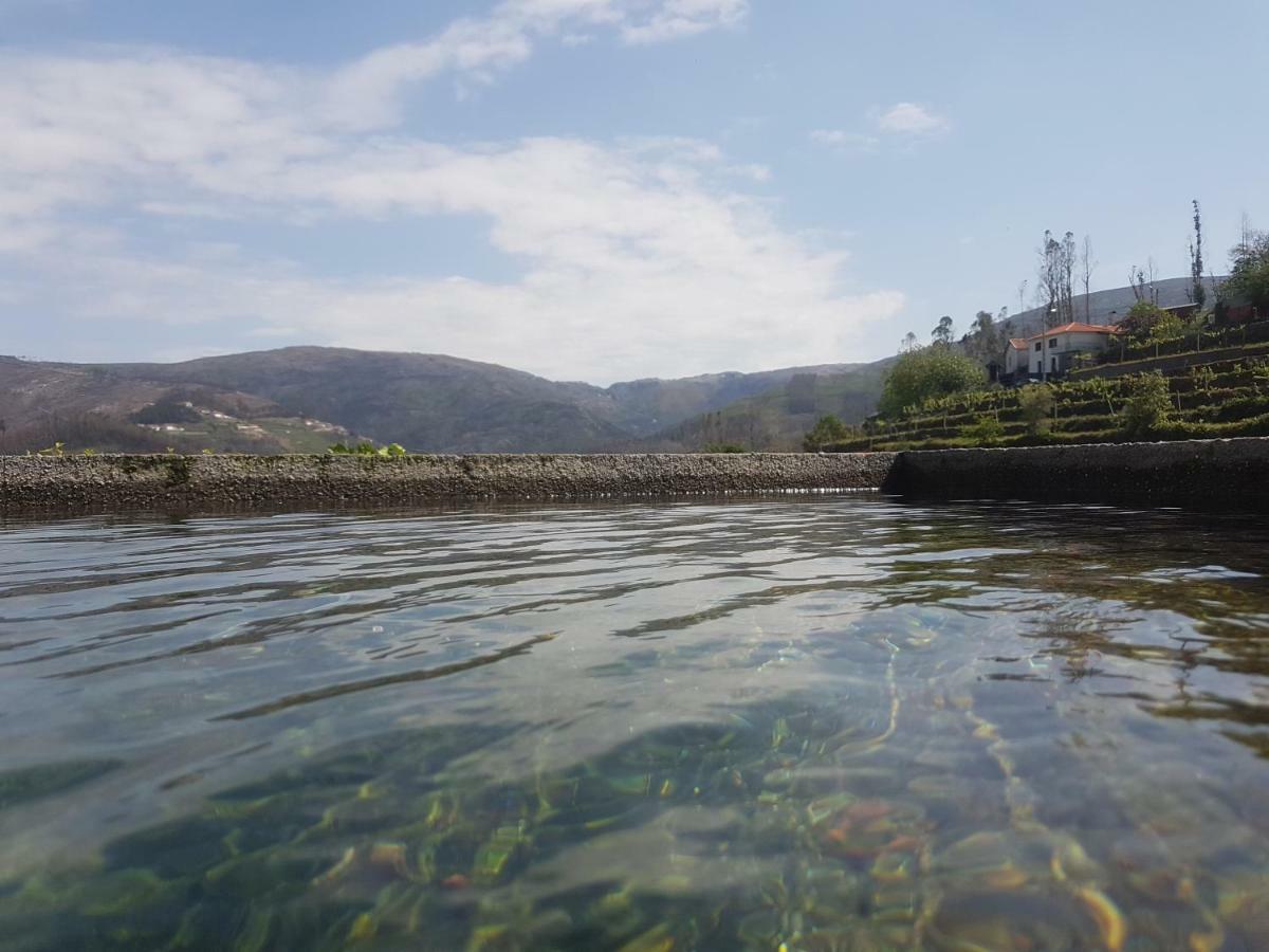 Casa Da Boa Vista Em Viadal Villa Vale de Cambra Eksteriør bilde