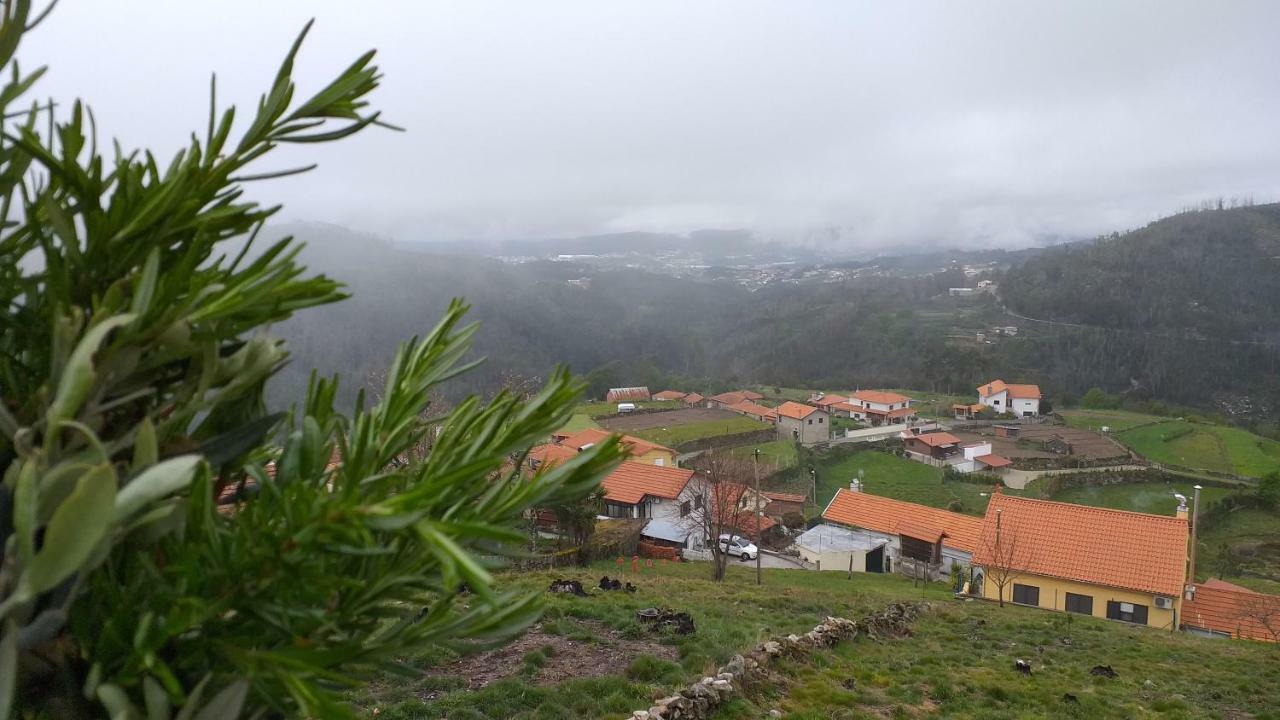 Casa Da Boa Vista Em Viadal Villa Vale de Cambra Eksteriør bilde