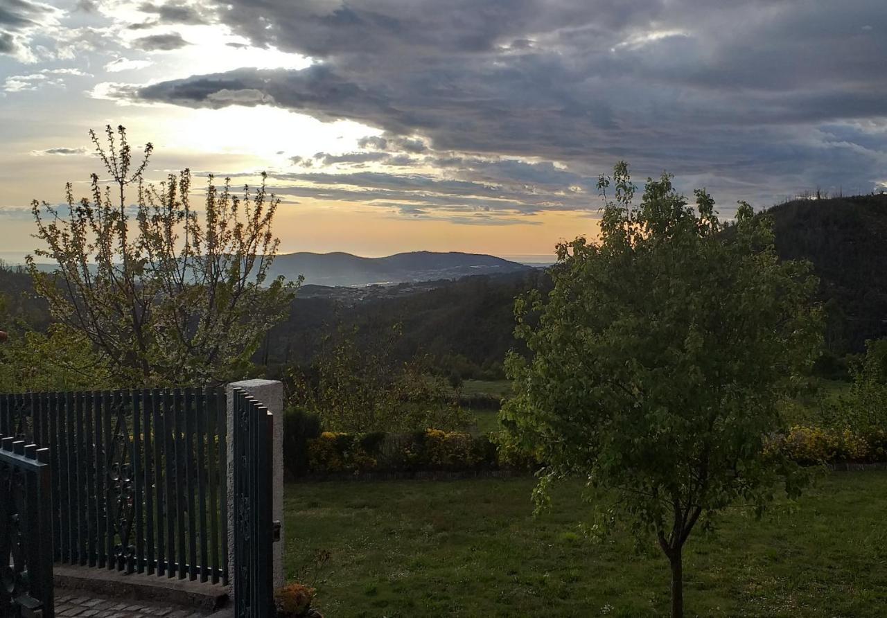 Casa Da Boa Vista Em Viadal Villa Vale de Cambra Eksteriør bilde